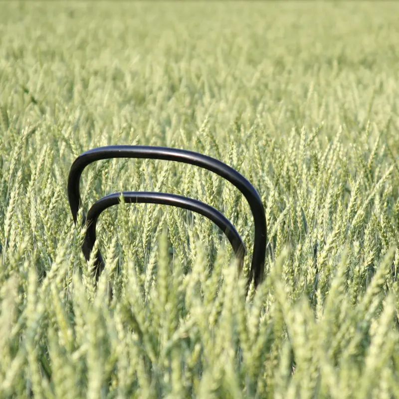 Thonet im Feld